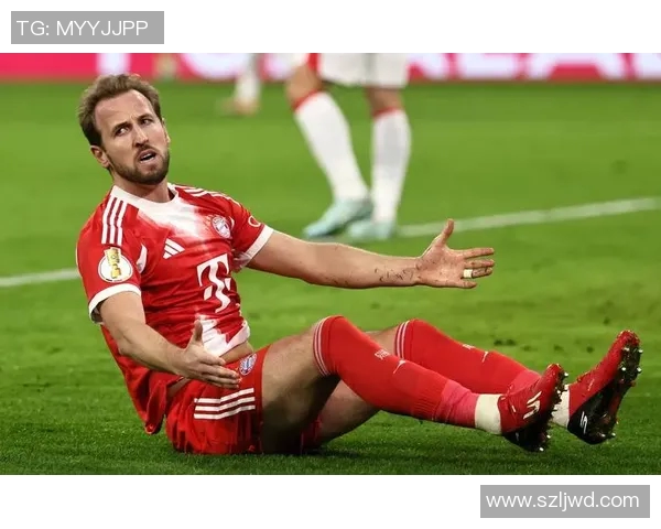 恒大与拜仁对比分析：中德足球巨头的实力与影响力之争