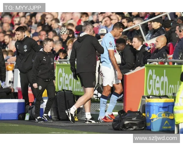 罗德里在曼城的崛起与影响力分析解析其在球队战术中的关键角色与贡献